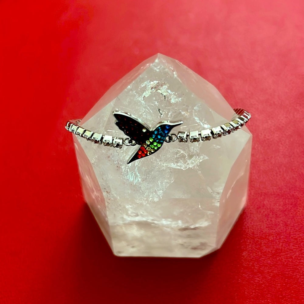 NWOT Sterling Silver | Adjustable Bracelet - Paw Charm with CZ